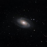 Bode's Galaxy, M81